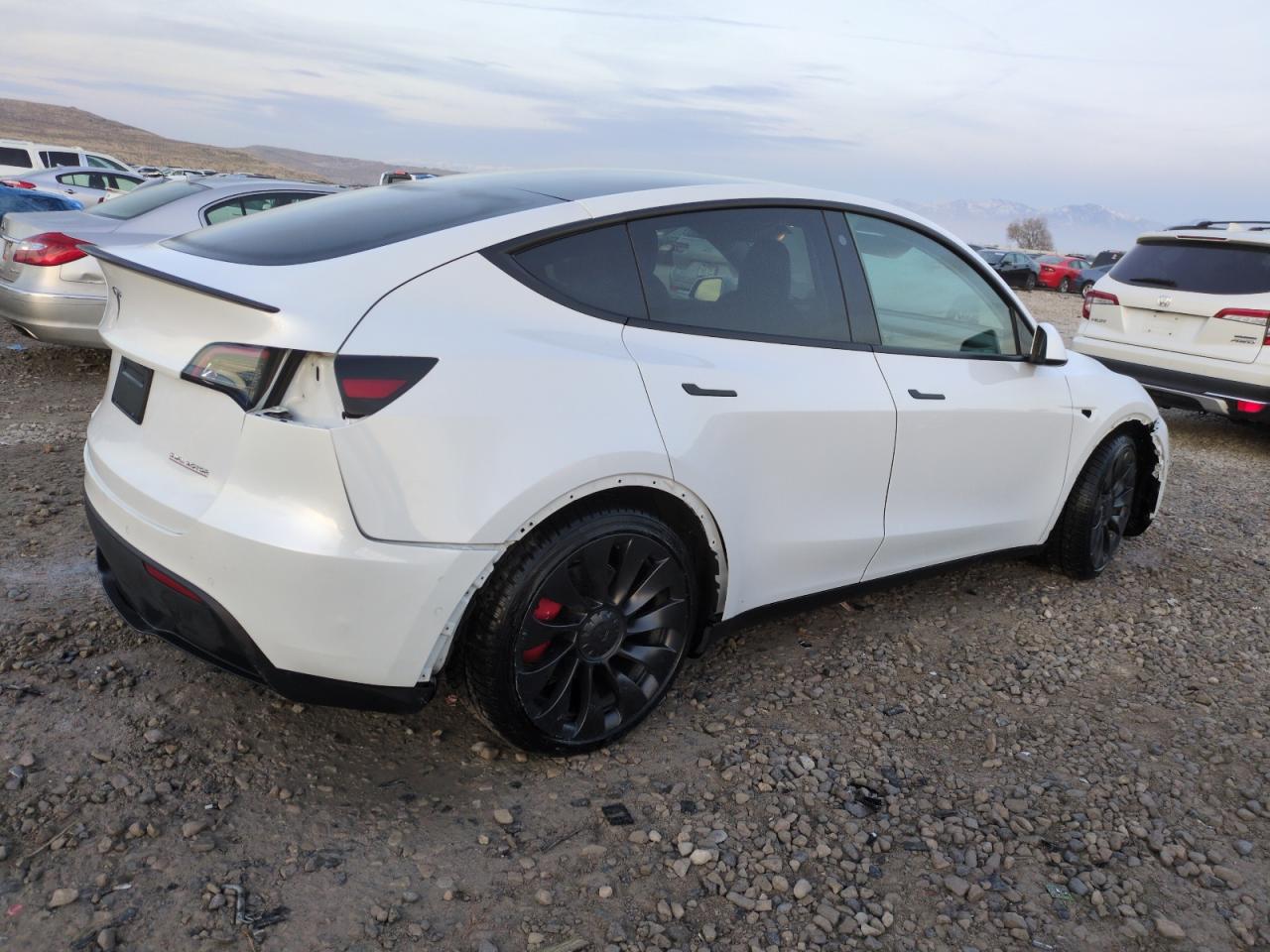 2022 TESLA MODEL Y  VIN:7SAYGDEF3NF460378