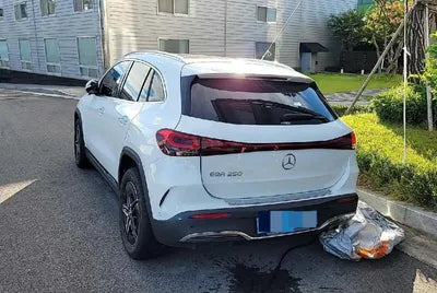 2021 Mercedes-Benz A 250 W1N9N0BB5MJ006876 VIN:W1N9N0BB5MJ006876