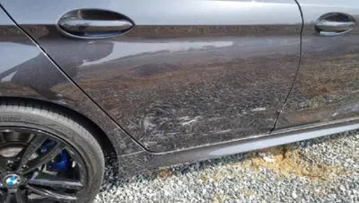 2019 BMW 530 WBAJD310XKWW27231 VIN:WBAJD310XKWW27231