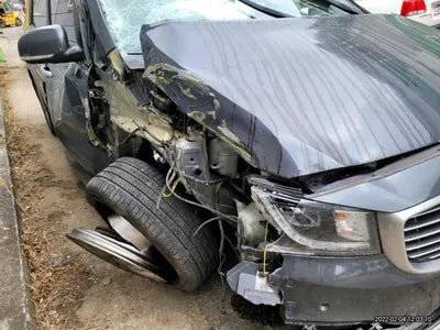 2016 Kia Carnival KNAMC81ABGS204821 VIN:KNAMC81ABGS204821