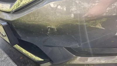 2014 Honda Accord VIN: