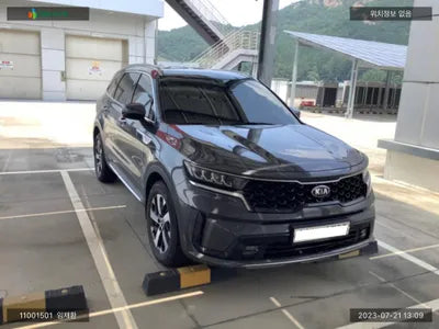2020 Kia Sorento KNARL81BGMA025523 VIN:KNARL81BGMA025523