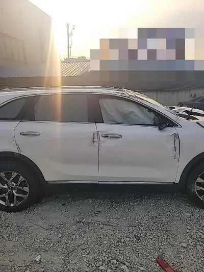 2019 Kia Sorento KNAPH81BBLA612488 VIN:KNAPH81BBLA612488