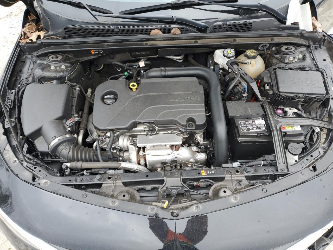 2023 CHEVROLET MALIBU LS VIN:1G1ZB5ST1PF251311