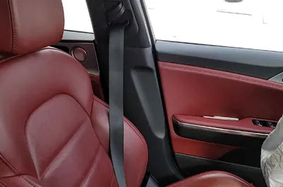 2020 Kia Stinger KNAE351ABLS086483 VIN:KNAE351ABLS086483