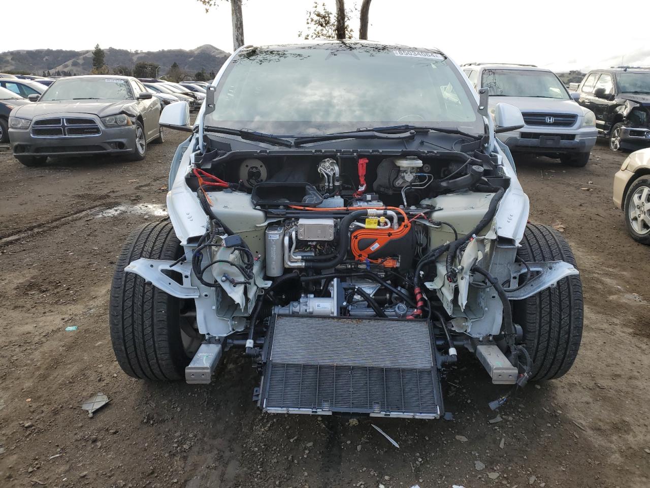 2023 TESLA MODEL Y  VIN:7SAYGDEE5PF813889