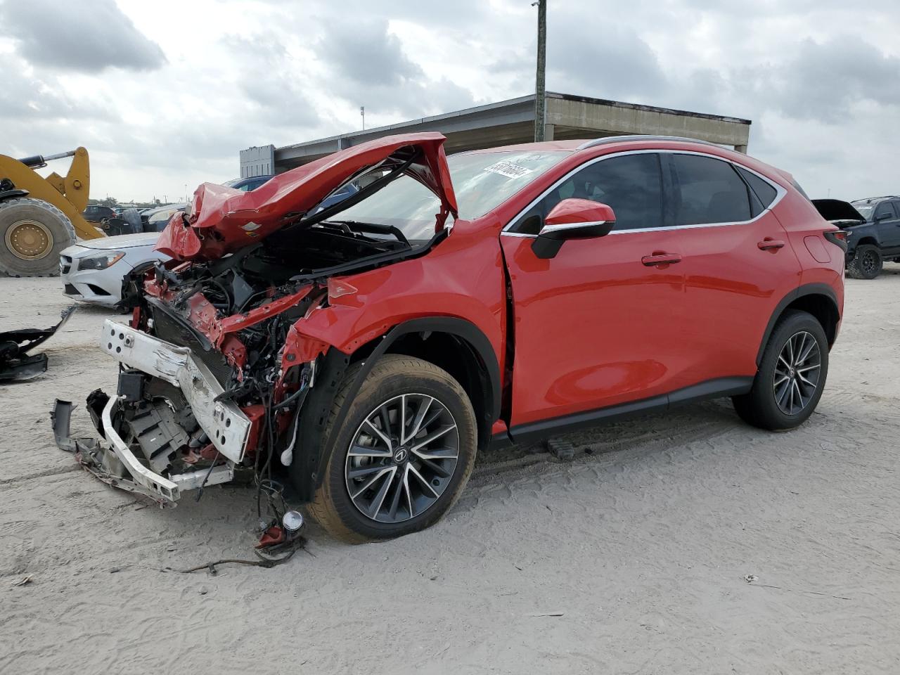 2024 LEXUS NX 250 BASE VIN:2T2ADCAZ6RC013762