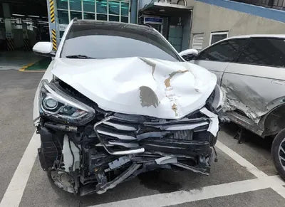 2018 Hyundai Santa FE KMHSW81UBJU804431 VIN:KMHSW81UBJU804431