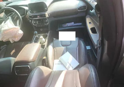 2019 Hyundai Santa FE KMHS581BDKU060270 VIN:KMHS581BDKU060270