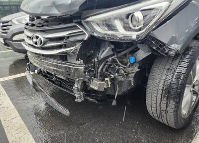 2017 Hyundai Santa FE KMHSW81UBHU758465 VIN:KMHSW81UBHU758465