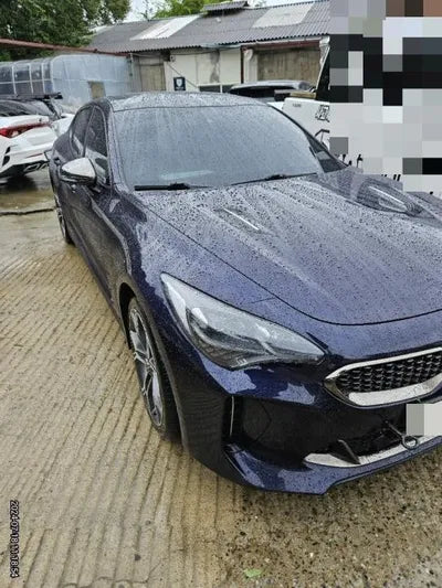 2020 Kia Stinger VIN:
