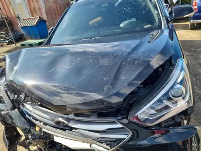 2017 Hyundai Santa FE KMHSW81UBJU816502 VIN:KMHSW81UBJU816502