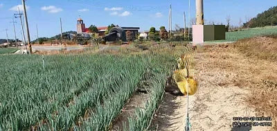 2017 Kia Sportage NONE VIN: