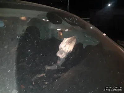 2019 Mercedes-Benz GLC 350 WDC0G5EB8KF641720 VIN:WDC0G5EB8KF641720