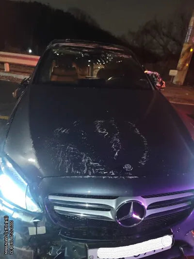 2015 Mercedes-Benz C 250 958KMWDDWF0KB1FF1 VIN:958KMWDDWF0KB1FF1