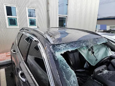 2020 Hyundai Santa FE KMHS381BDLU264845 VIN:KMHS381BDLU264845