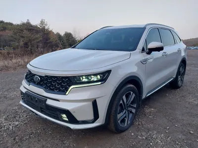 2021 Kia Sorento KNARM81GBMA006272 VIN:KNARM81GBMA006272
