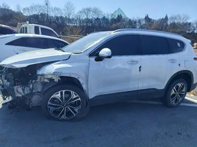 2019 Hyundai Santa FE KMHS281BBKU161615 VIN:KMHS281BBKU161615