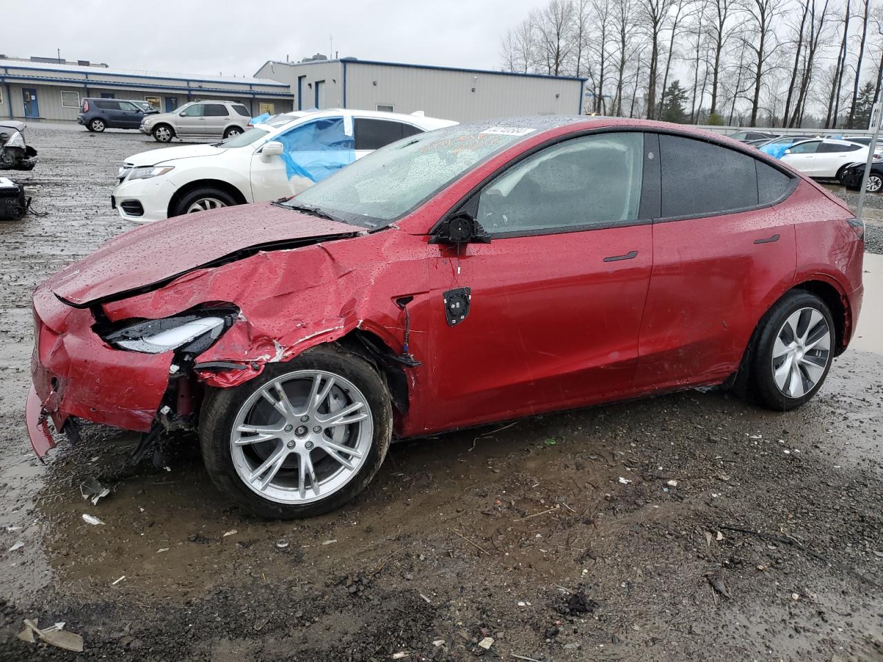 2024 TESLA MODEL Y  VIN:7SAYGDEE5RF013886