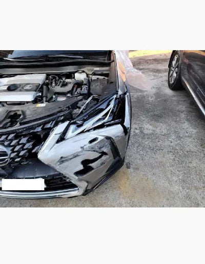 2020 Lexus UX 250 JTHP6JBH8L2070407 VIN:JTHP6JBH8L2070407