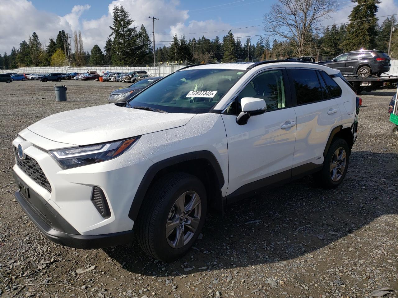 2024 TOYOTA RAV4 XLE VIN:JTMRWRFV8RD224765