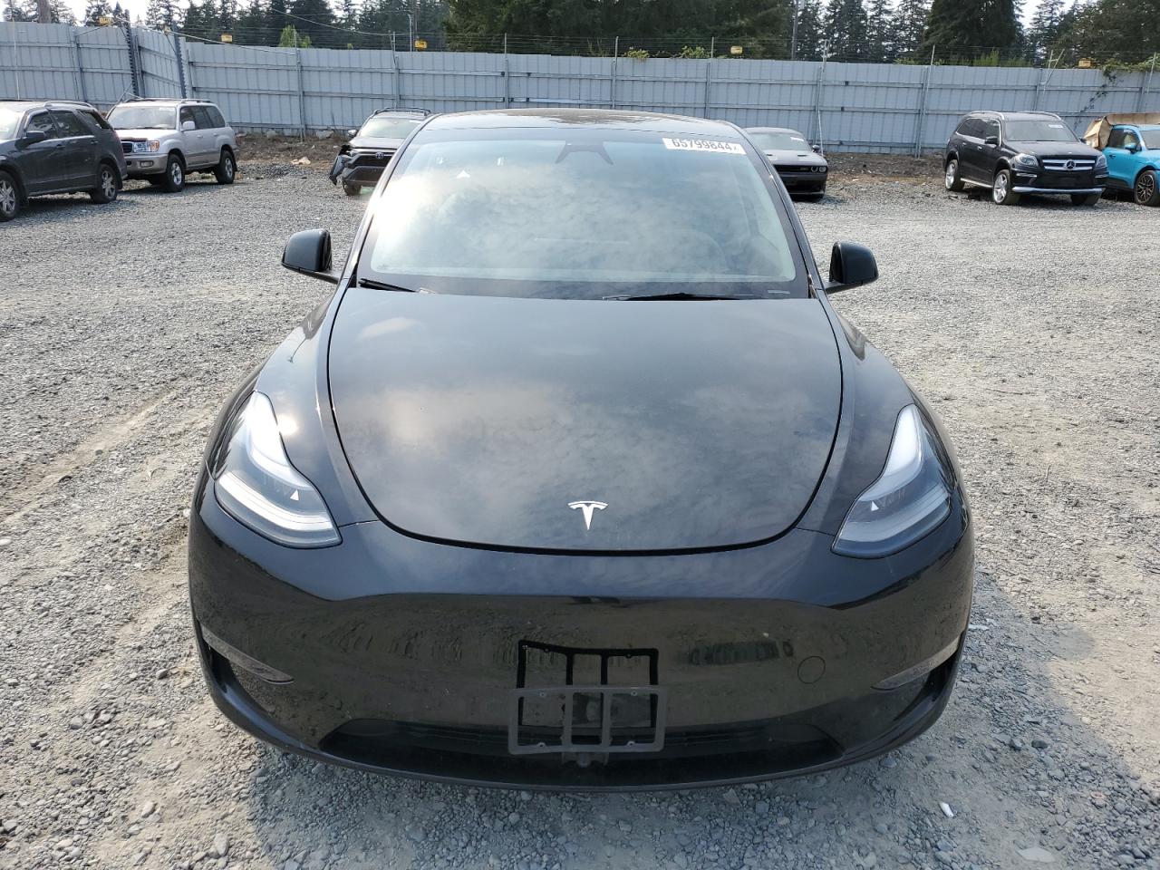 2023 TESLA MODEL Y  VIN:7SAYGAEE6PF874750