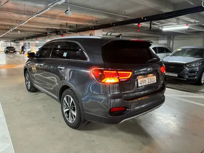 2019 Kia Sorento KNAPG81ADKA523447 VIN:KNAPG81ADKA523447