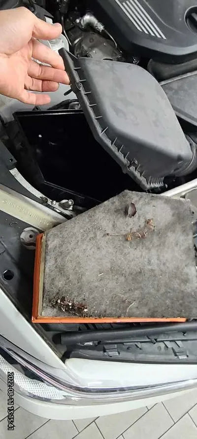 2020 BMW 520 WBAJF5107LWW66026 VIN:WBAJF5107LWW66026