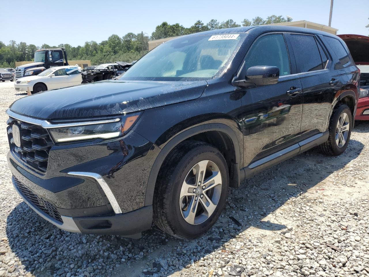 2023 HONDA PILOT EXL VIN:5FNYG1H59PB018691