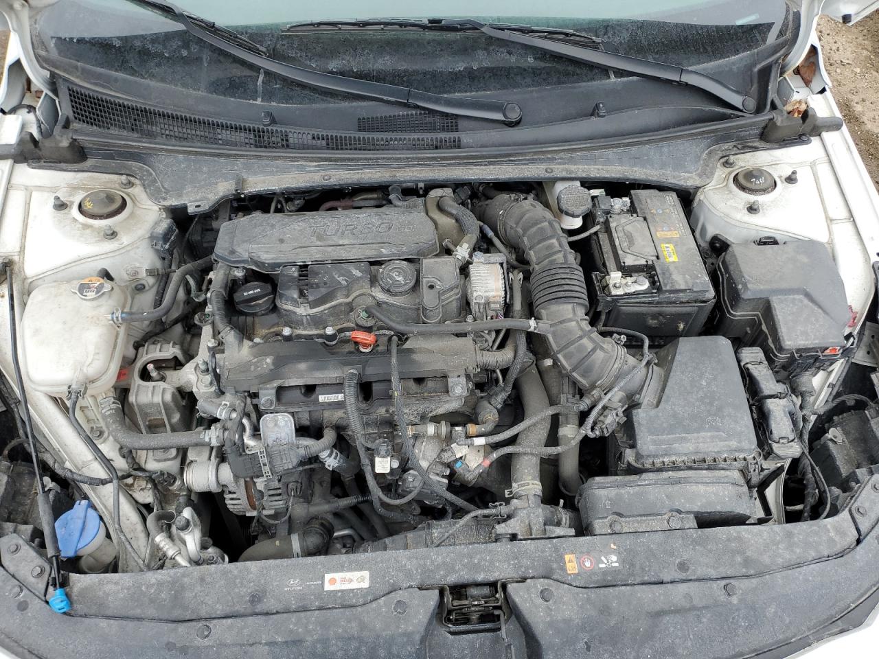 2023 HYUNDAI ELANTRA N LINE VIN:KMHLR4AF7PU547259