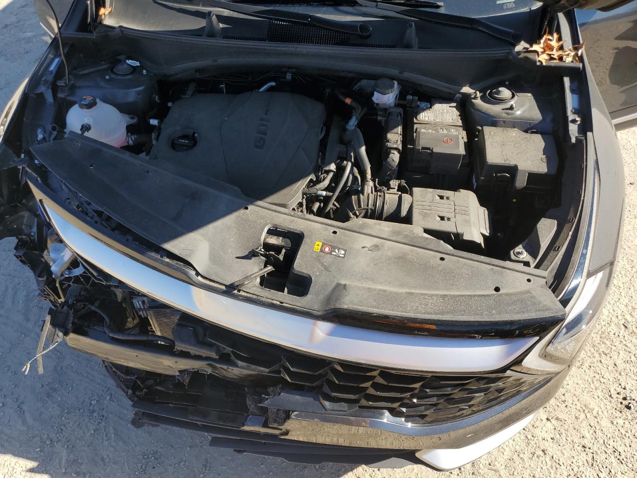 2023 KIA SPORTAGE EX VIN:5XYK33AF8PG106883