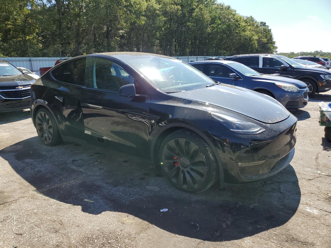 2023 TESLA MODEL Y  VIN:7SAYGDEF4PF854006