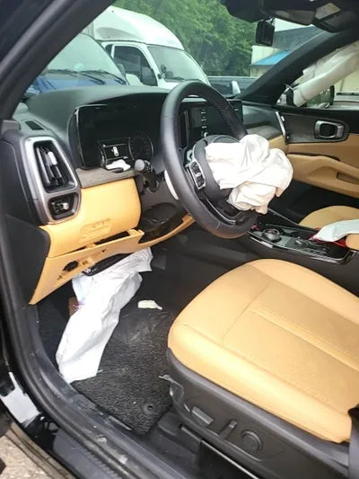 2022 Kia Sorento KNARL81GBNA105043 VIN:KNARL81GBNA105043