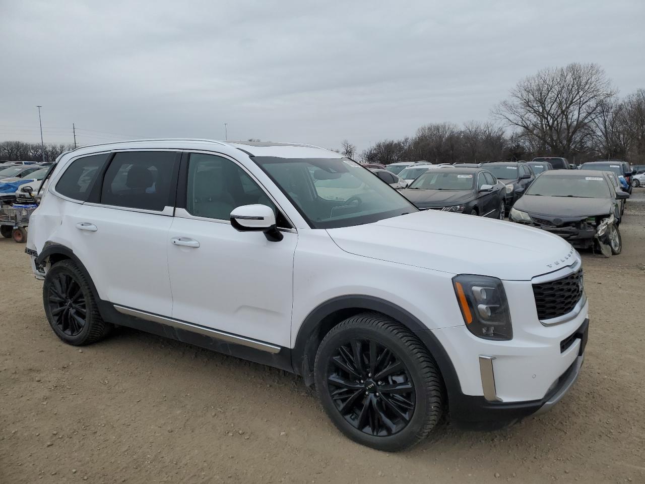2022 KIA TELLURIDE SX VIN:5XYP5DHC0NG263225