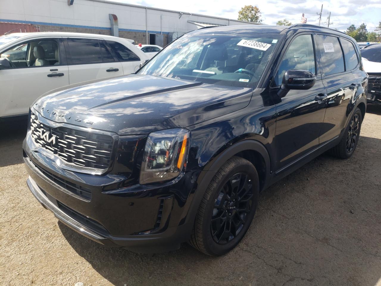 2022 KIA TELLURIDE EX VIN:5XYP3DHCXNG295962