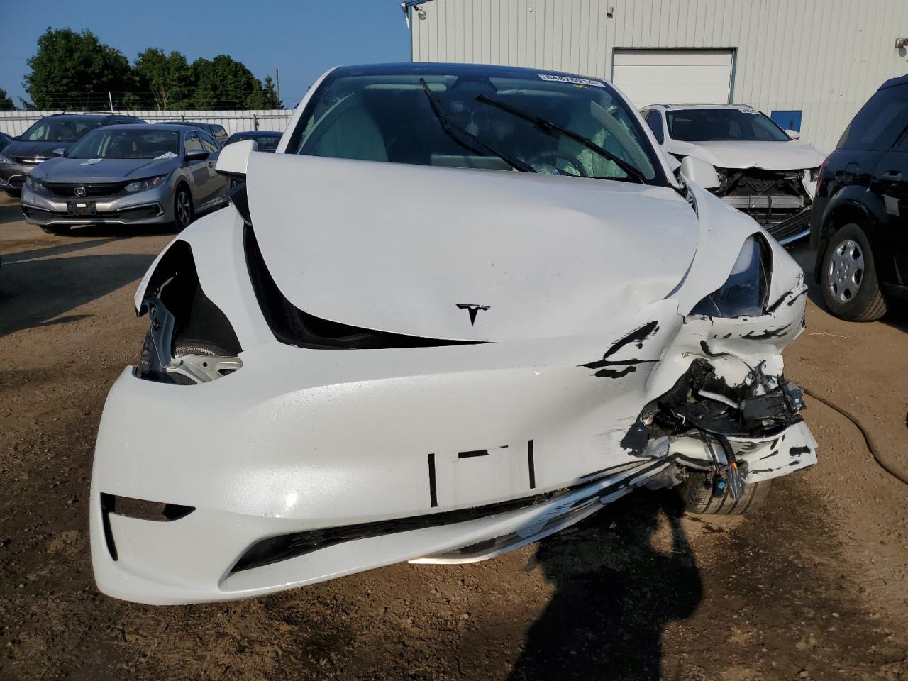 2023 TESLA MODEL Y  VIN:LRWYGDEE5PC081495