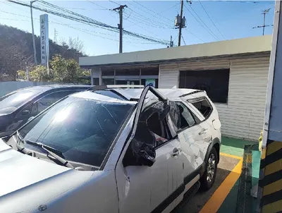 2017 Kia Mohave 829KMKNAKN814DHA1 VIN:829KMKNAKN814DHA1