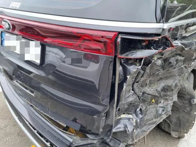 2021 Kia Carnival KNANB81BBMS113372 VIN:KNANB81BBMS113372