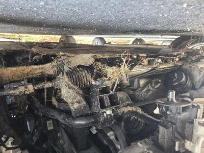 2019 Genesis G90 KMHG241DDKU066274 VIN:KMHG241DDKU066274