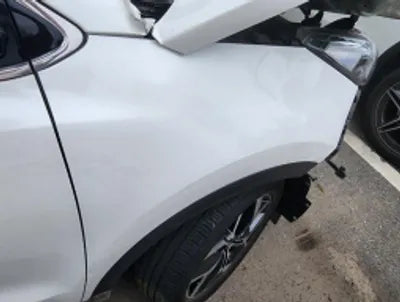 2019 Kia Sportage KNAPL812GKK565456 VIN:KNAPL812GKK565456