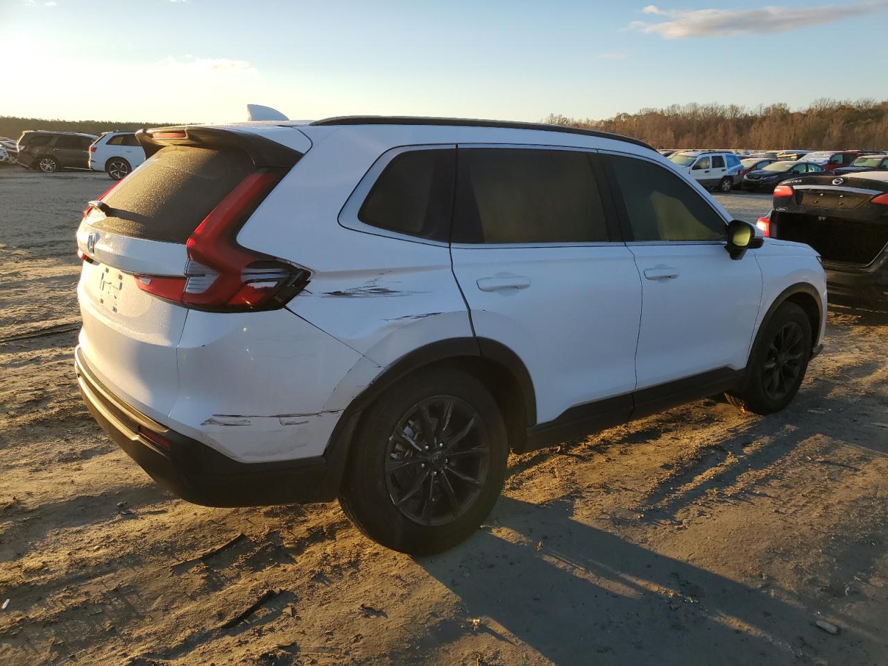 2024 HONDA CR-V EXL VIN:5J6RS4H76RL006854