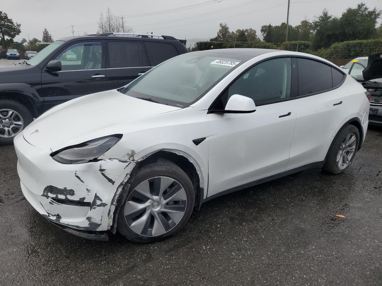 2023 TESLA MODEL Y  VIN:7SAYGDEE1PF669578