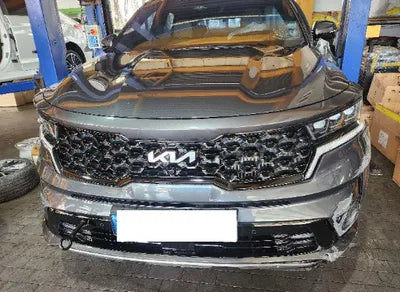 2023 Kia Sorento KNARH81GBPA159923 VIN:KNARH81GBPA159923