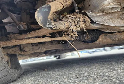 2020 Mercedes-Benz E 300 W1KZF5EB5LA817918 VIN:W1KZF5EB5LA817918