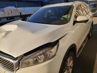 2016 Kia Sorento KNAPH81ABGA216735 VIN:KNAPH81ABGA216735