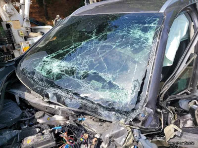 2021 Hyundai Santa FE KMHS381HHMU343576 VIN:KMHS381HHMU343576