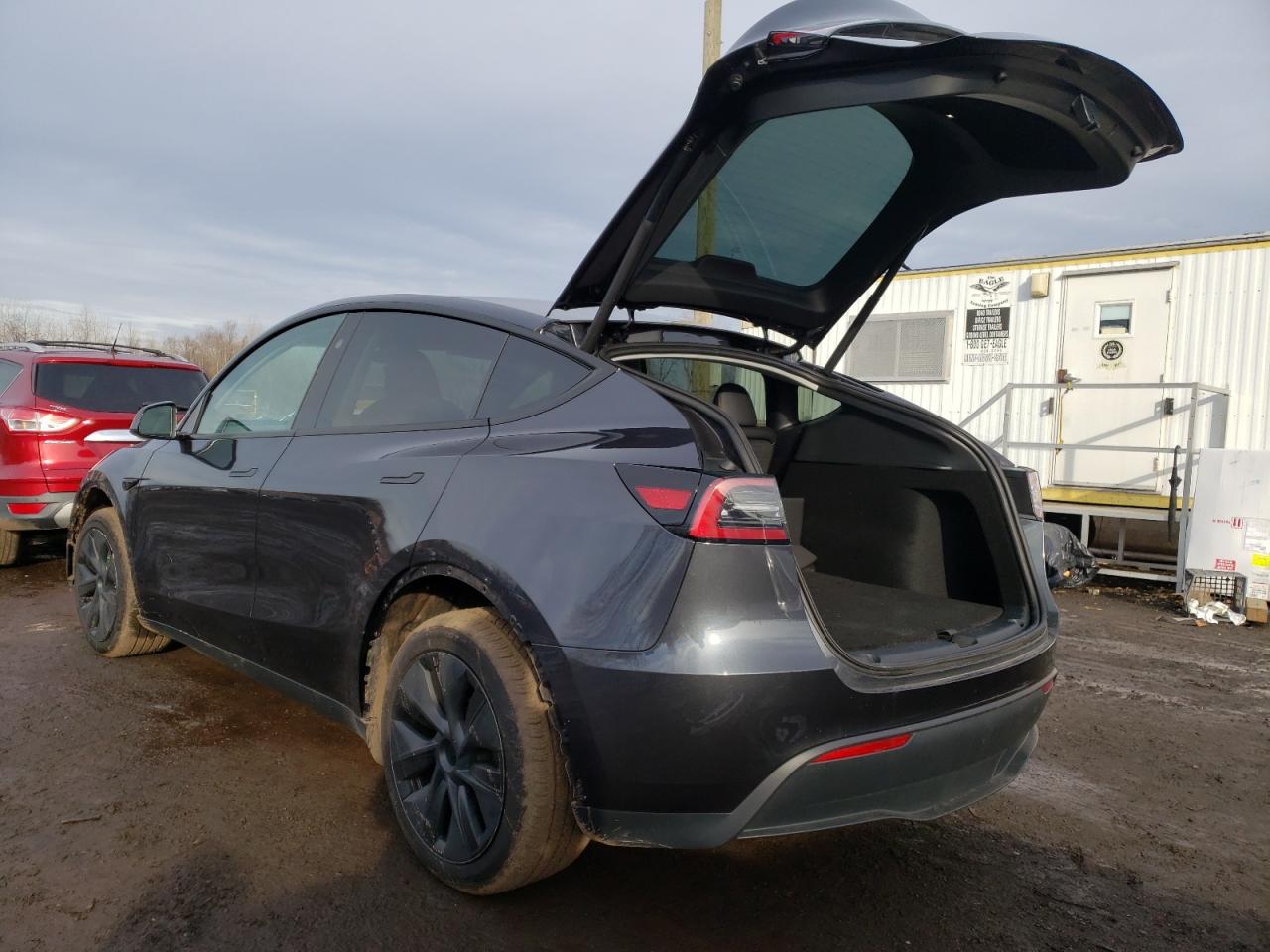 2024 TESLA MODEL Y  VIN:7SAYGDEE0RF200503