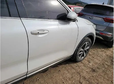 2019 Kia Sorento 187KMKNAPF81BBKA5 VIN:187KMKNAPF81BBKA5