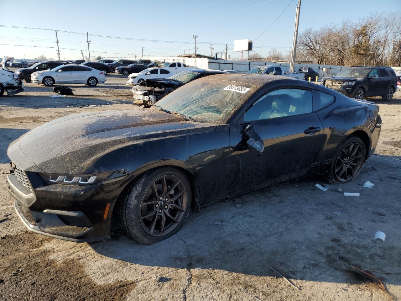 2024 FORD MUSTANG  VIN:1FA6P8TH3R5105482