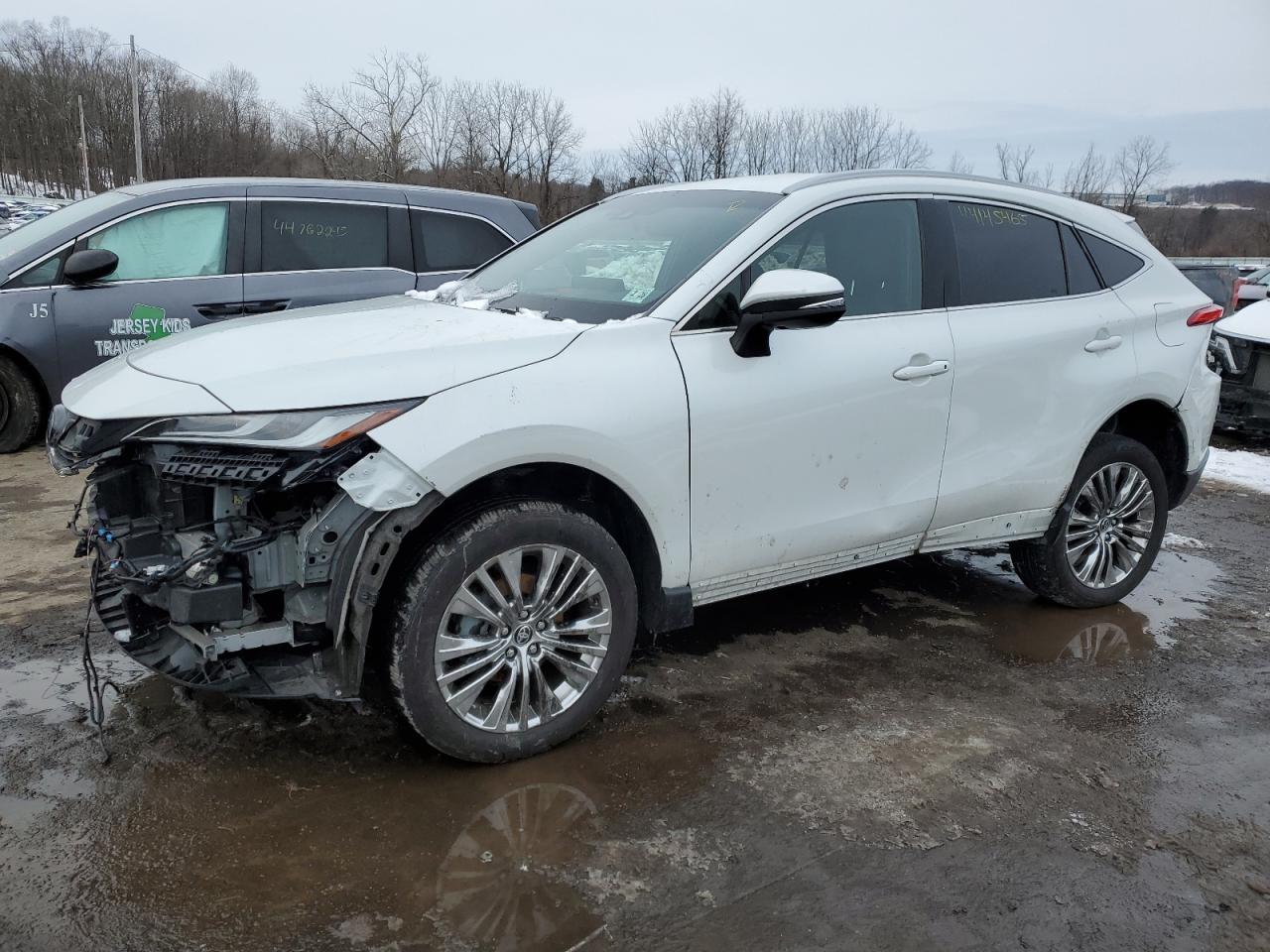2023 TOYOTA VENZA LE VIN:JTEAAAAH4PJ126017